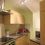 Xxl City-appartement Wernigerode