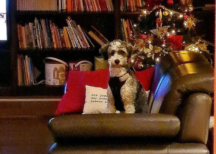 Xxl City-appartement דירה